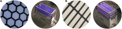 Advantages and Limitations of Surface Analysis Techniques on Plasma-Treated Arabidopsis thaliana Seeds